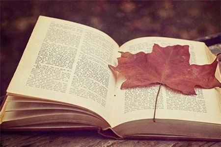 泰安成人高考必须携带的物品有哪些