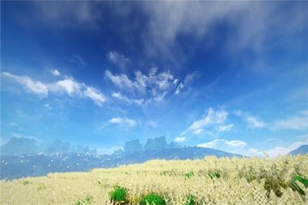 泰安省成人高考评卷标准是什么