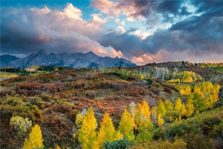 泰安成人高考高起点英语必背句型